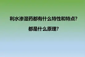 什么是利水渗湿药？他们都有哪些特点？