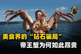 一斤卖到数百元，帝王蟹为何这么贵？渔工：这是我的买命钱视频封面