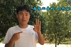 面善心狠的人大多都有这3种特征，千万不要去深交，要尽快远离视频封面