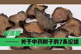 倪海厦关于中药附子的7条精彩论述，学会让你的水平提高一大截