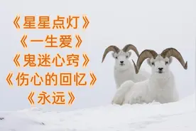 《星星点灯》《一生爱》《鬼迷心窍》《伤心的回忆》《永远》