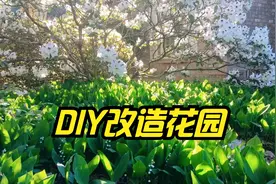 58岁大妈减肥瘦身成功后的退休养老生活，为省钱自己动手改造花园视频封面