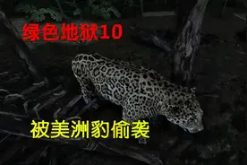 绿色地狱10 从房顶射下鹦鹉后，搜寻野人营地，却被美洲豹偷袭