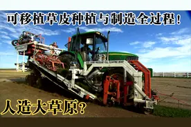 人造大草原？-揭秘移植草皮种植与制造全过程！