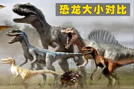 不同种类的恐龙大小对比，霸王龙究竟有多大？
