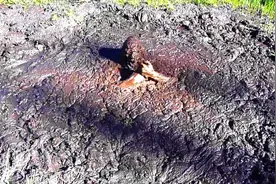 美国小伙往泥潭里跳，拼命挣扎却越陷越深，实拍画面引以为戒！