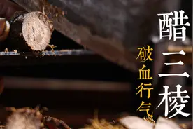 中药炮制 醋三棱 跌打损伤药 破血行气，消积止痛