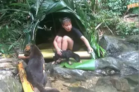 美女隐居山林，用香蕉树和树叶搭建庇护所，享受自由自在的生活！视频封面