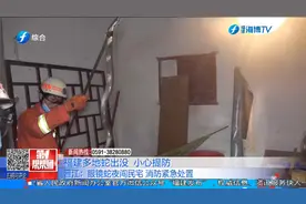 福建多地蛇出没，小心提防视频封面