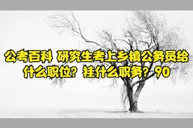 公考百科 研究生考上乡镇公务员给什么职位？挂什么职务？90