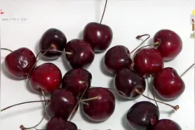 车厘子都用了“膨大剂”激素？关注记者做实验辟谣视频封面