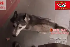 20221111唐师曾：王开回老家（灵境胡同陈赓故居）