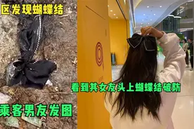搜救区发现蝴蝶结，疑该乘客男友发图，看到其女友头上蝴蝶结破防视频封面