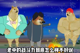 老中的战斗力到底怎么样