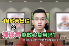 40多天就能出栏，都是激素催大的？带你了解“速成鸡”背后的故事视频封面
