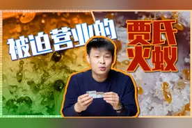养蚁手残日常，被迫营业的贾氏火蚁