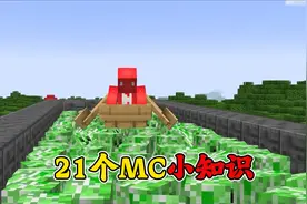 我的世界：21个小知识，探索mc游戏边界