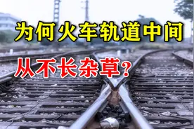 为何火车轨道中间，从来不长杂草？有什么猫腻？视频封面