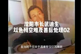 沈阳市长武迪生空难及善后