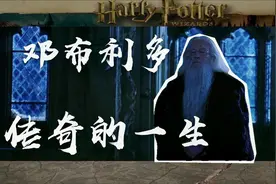 哈利波特||邓布利多传奇的一生||深挖那些你不知道的小细节