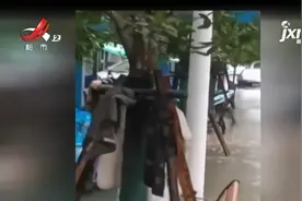南昌新建区：小区改造之后 为何却下雨积水了？视频封面