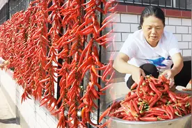 这样晒干辣椒，做法简单一看就会，农村胖嫂3天晒了100来串