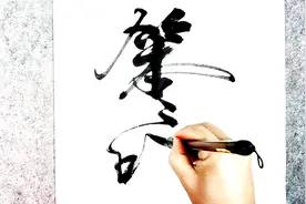 如果说一个人笨，我服东北话，都能笨出声了