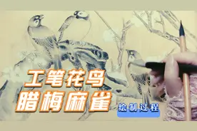 工笔花鸟：临摹清代画家余稚《腊梅麻雀》腊梅花 麻雀绘制过程！视频封面
