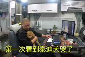 这只泰迪犬成精了，房车旅行狗跑丢了，逮回来后居然还委屈流眼泪视频封面