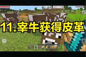 我的世界生存入门：11.宰牛获得皮革