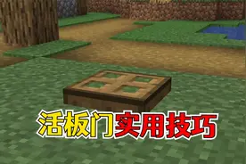 我的世界：活板门的几个小妙招！萌新大开眼，老MC直呼白玩了？