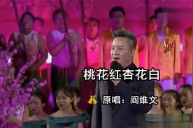 学唱《桃花红杏花白》 原唱：阎维文