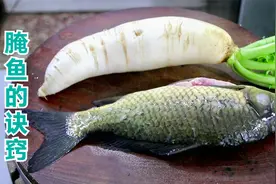 萝卜炖鲫鱼，腌鱼时不要放盐和料酒，教你一招，鱼肉更鲜嫩无腥味