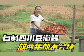 豆瓣酱不用出去买了，手把手教你在家做，做法简单放两年都不会坏视频封面