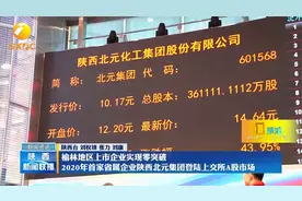 2020年首家省属企业陕西北元集团登陆上交所A股市场视频封面