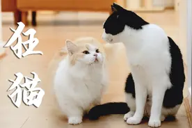 “大哥，我给你送了点鱼过来！”视频封面