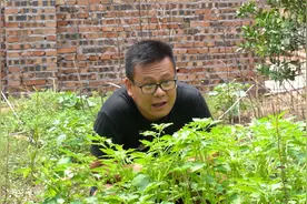 赢了游戏你做我女朋友，输了我做你男朋友，可偏偏是平局，天意啊视频封面