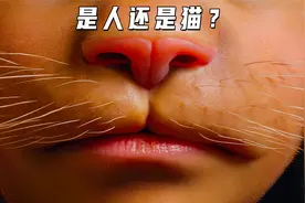 小女孩学一声猫叫，结果变成一只猫咪，还长出一双大翅膀视频封面