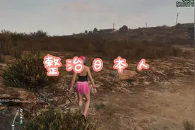 xipro整治日本战局功能演示