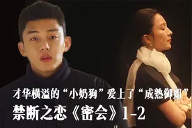 快递小哥逆袭成为“钢琴天才”，爱上42岁的漂亮姐姐《密会》视频封面