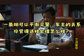 电视剧《交通警察》中司机违法后送烟解决问题，另一个交警更厉害视频封面