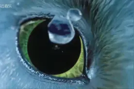 空灵吟唱《The Moment》，解压又放松视频封面