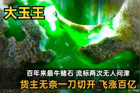 逆风翻盘！史上最牛赌石大玉王，流标两次，货主一刀切开飞涨20亿视频封面