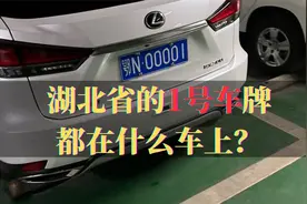 湖北最牛的1号车，共发现13辆，00001都在什么车上？
