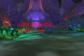 魔兽世界怀旧服：小德奴隶围栏双采，一次赚了70金
