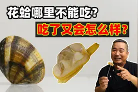 花蛤蛤蜊花甲哪里不能吃？吃了又会怎么样？