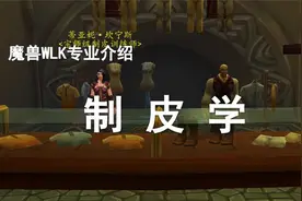 【WLK专业简介】第5期——制皮工具人必冲？能实财富自由？！