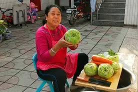 苤蓝这样做清脆爽口，农村妈妈一次腌制7个，好吃又下饭