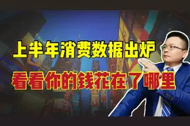 上半年人均消费数据出炉，快来看看你的钱都花在了哪里视频封面