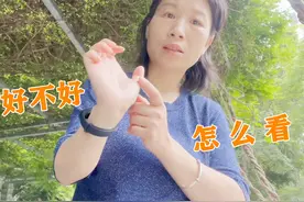 脾胃好不好，从手掌的这三个部位可以看出来，快伸出手来看看吧视频封面